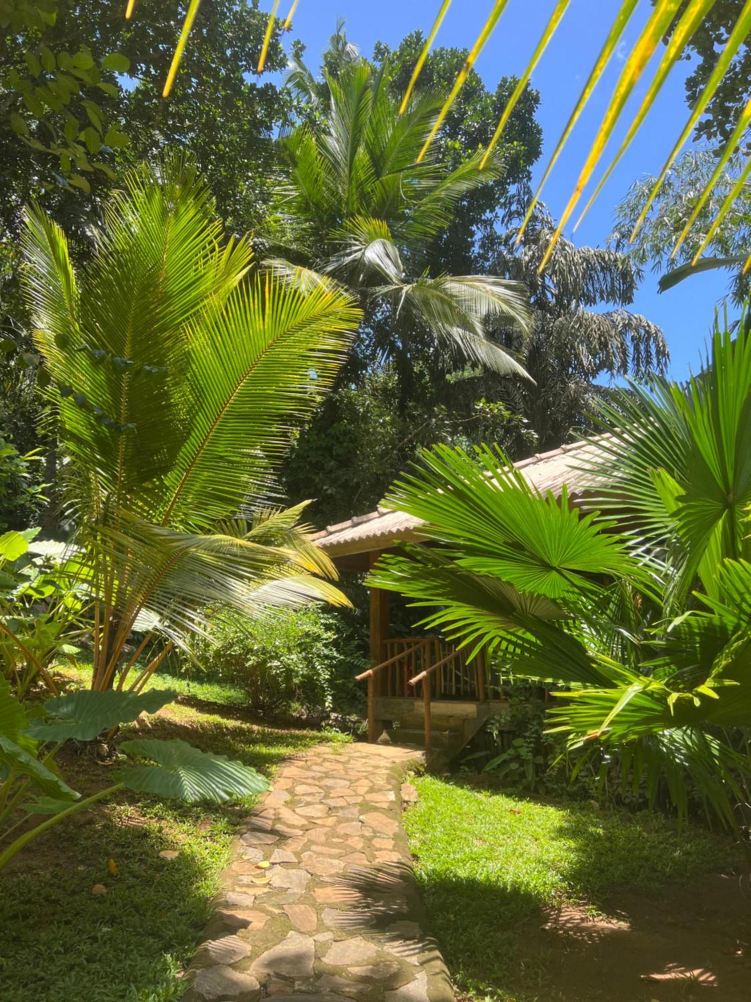 Into The Blue - Yoga Included & Walk To 3 Beaches Tangalle Exteriér fotografie