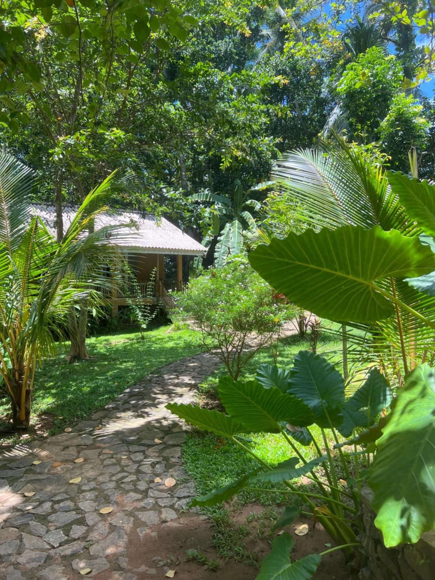 Into The Blue - Yoga Included & Walk To 3 Beaches Tangalle Exteriér fotografie