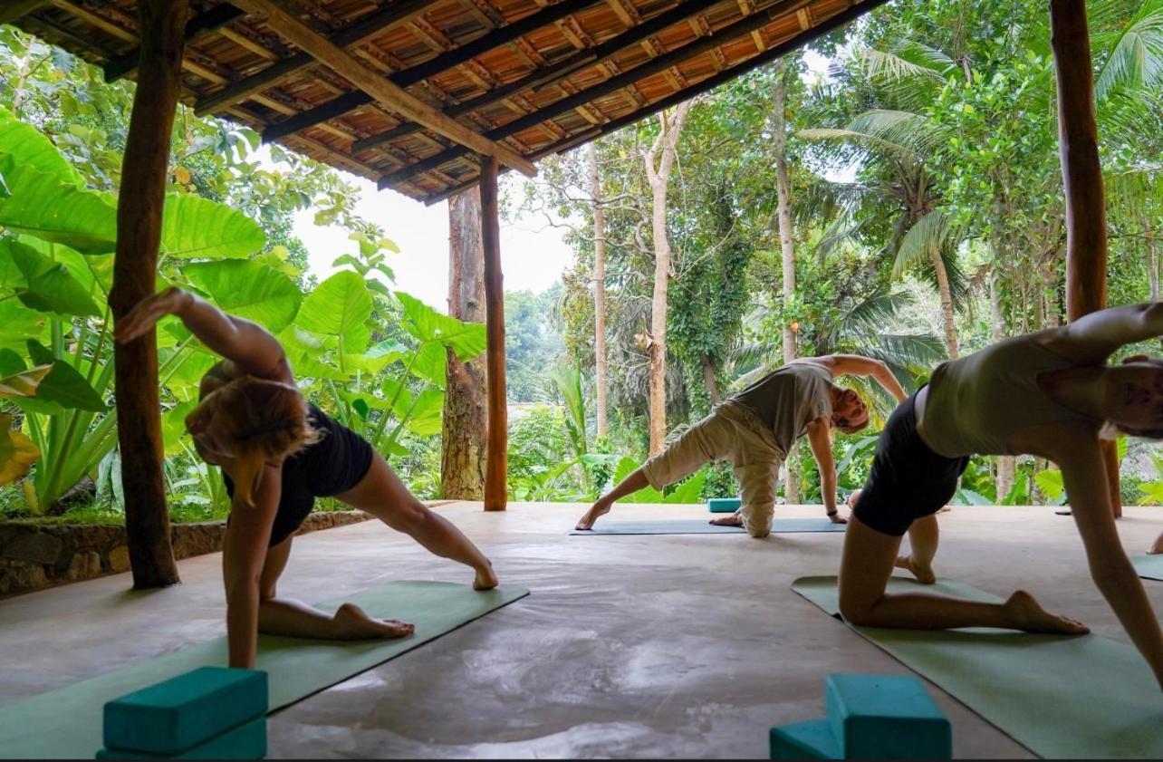 Into The Blue - Yoga Included & Walk To 3 Beaches Tangalle Exteriér fotografie